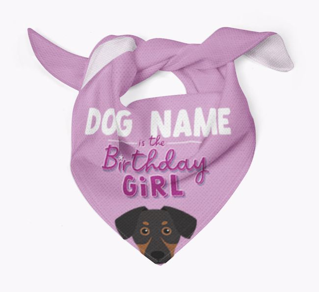 Birthday Girl: Personalised {breedFullName} Bandana